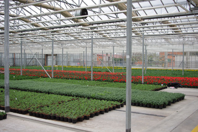 Di Meo Remo Azienda agricola