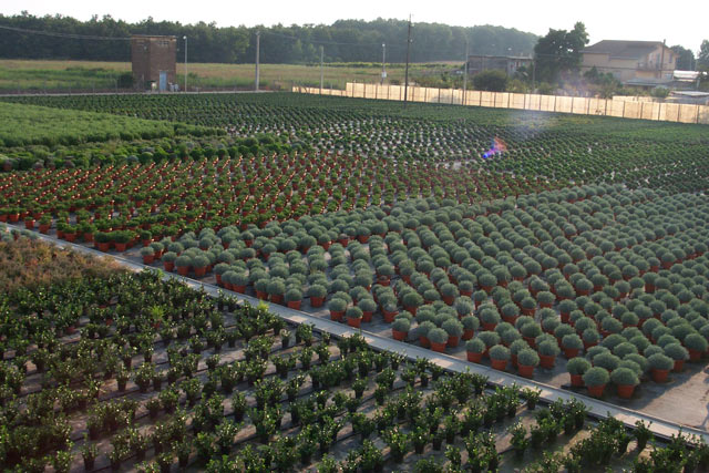 Di Meo Remo Azienda agricola