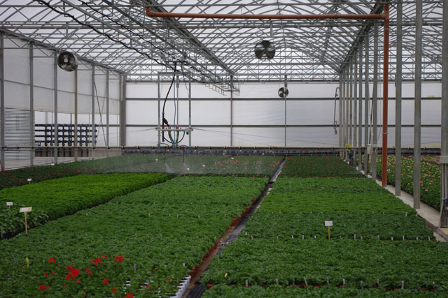 Di Meo Remo Azienda agricola