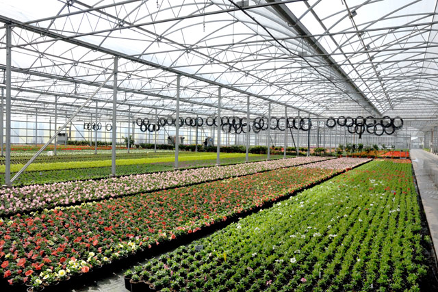 Di Meo Remo Azienda agricola