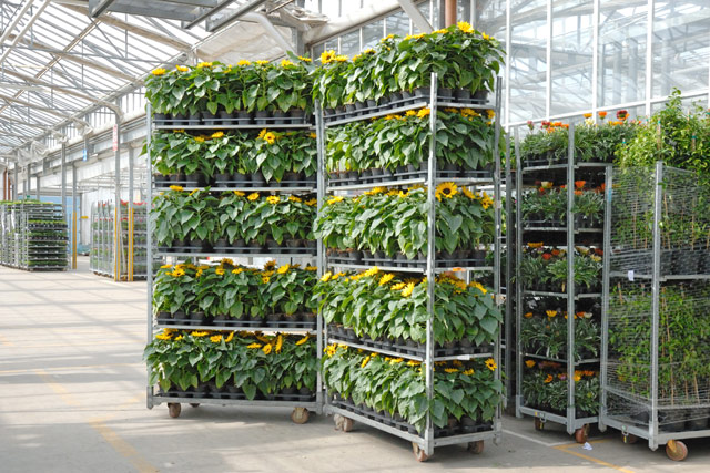 Di Meo Remo Azienda agricola