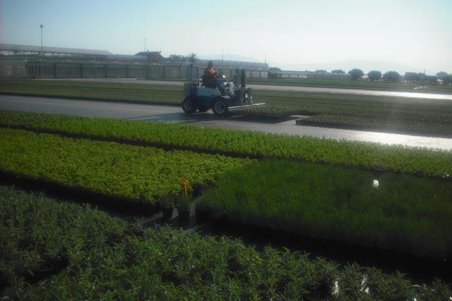 Di Meo Remo Azienda agricola