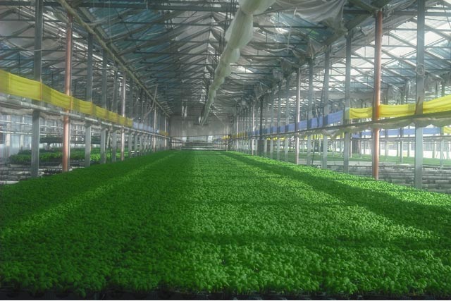 Di Meo Remo Azienda agricola