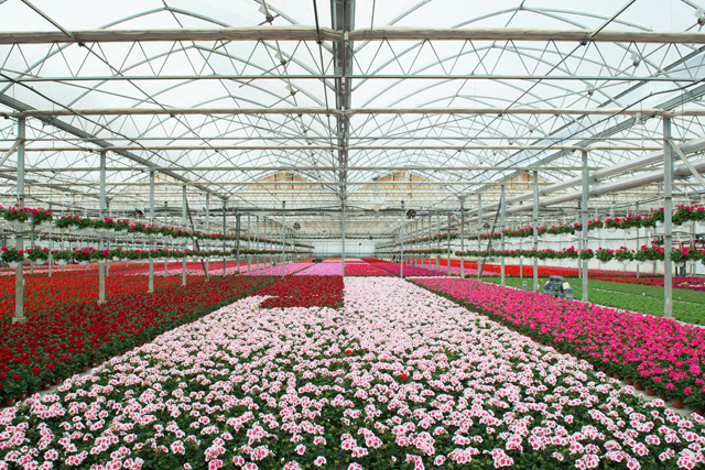 Di Meo Remo Azienda agricola