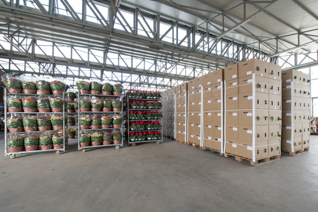 Di Meo Remo Azienda agricola