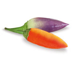 Peperoncino Acapulco Orange