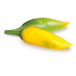 Peperoncino Acapulco Yellow