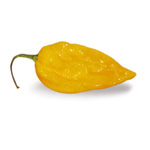 Peperoncino Fatalii