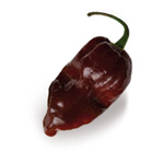 Peperoncino Habanero Chocolate