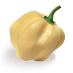 Peperoncino White