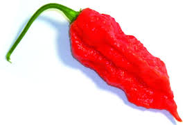 Peperoncino Naga Moric