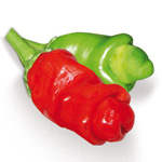 Peperoncino Peters Pepper