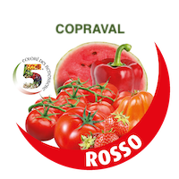 Rosso - I 5 colori della salute