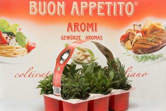 Buon Appetito